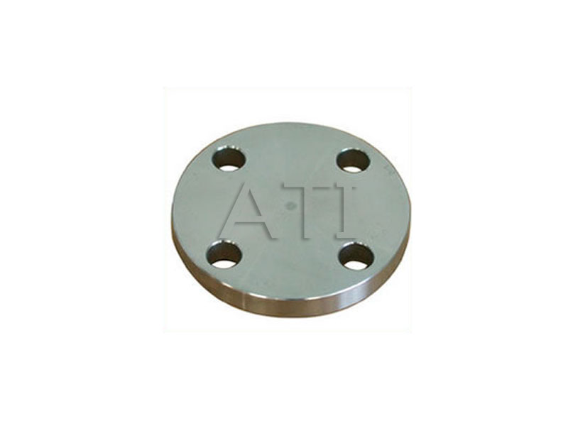 BLIND RING FLANGEs supplier in india